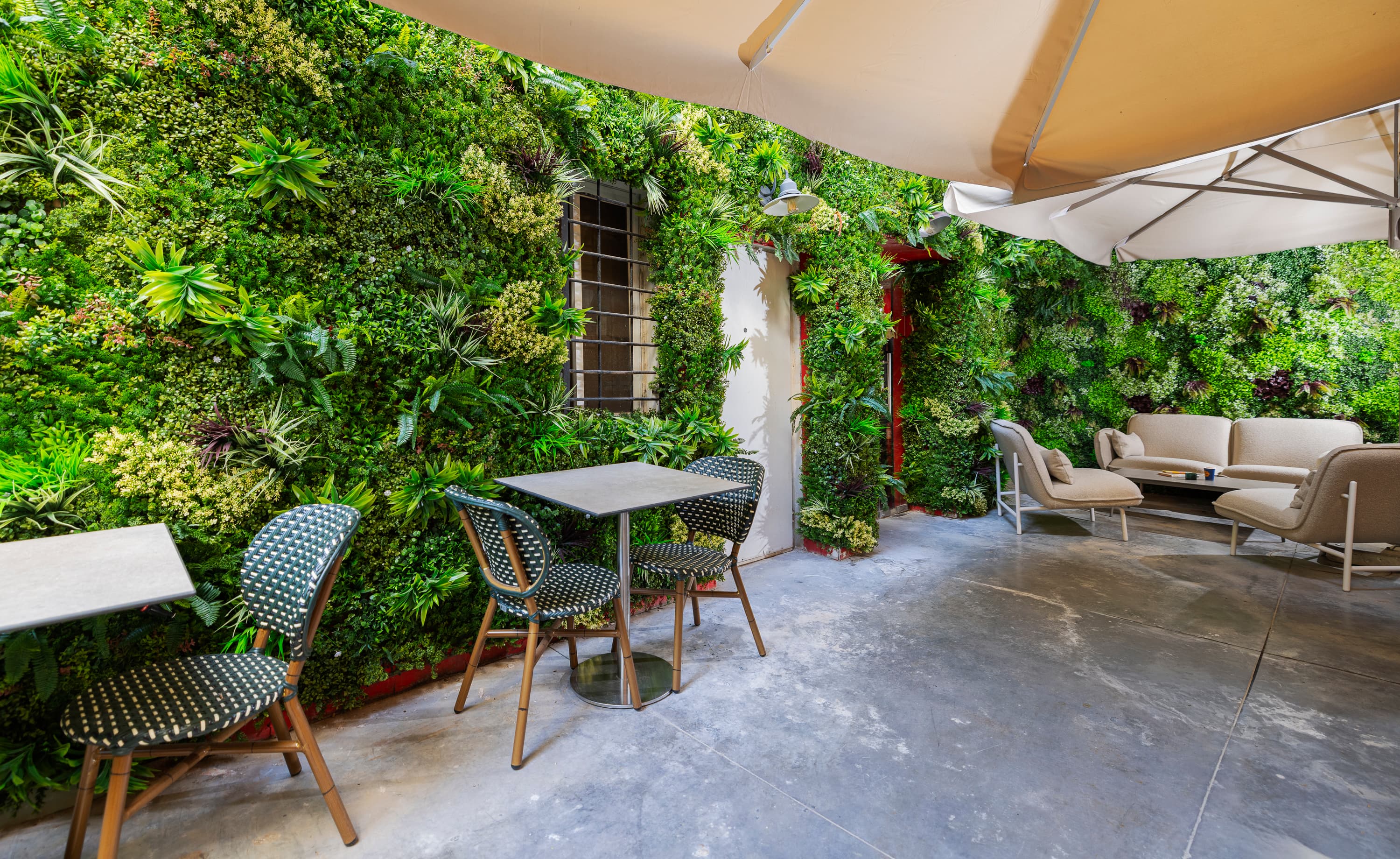 Gordon Beach View from Hotel - 5 Minutes Walk to Sea